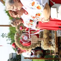 Zobacz w powiększeniu: Dożynki Gminne Baranów 2023 (15)